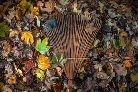 Garden Leaves Raking tool