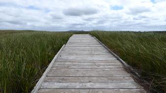 Path Journey Nature