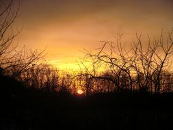 Nature Sunset Park