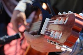 Guitar Music Playing person