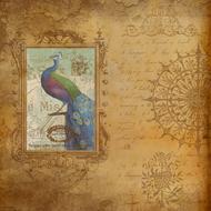 paper old vintage bird drawing