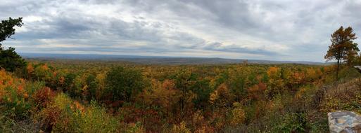 colorful autumn forest in the valley