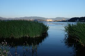 beautiful lake with herbs