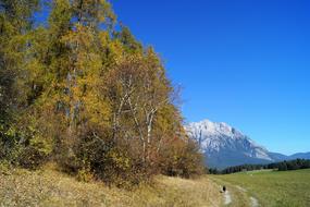 autumn trees, mountains, blue sky