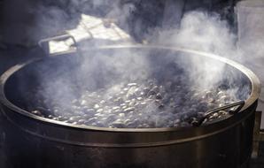 Roasting Chestnuts Chestnut Fruit