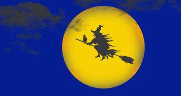 witch a cat on a broomstick in front of the moon