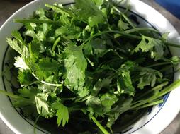 greens on a plate