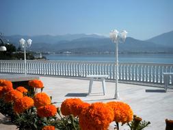 Flowers Boulevard Sea View