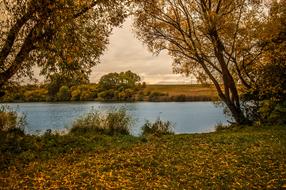 Autumn Little Lake Leaves Trees