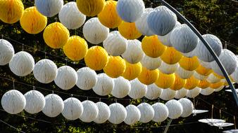 Street Decoration Light