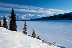 Landscape of Mountains Alaska