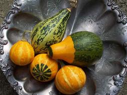 small ripe pumpkins are healthy