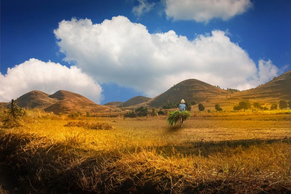 landscape of Madagascar Dune Valley