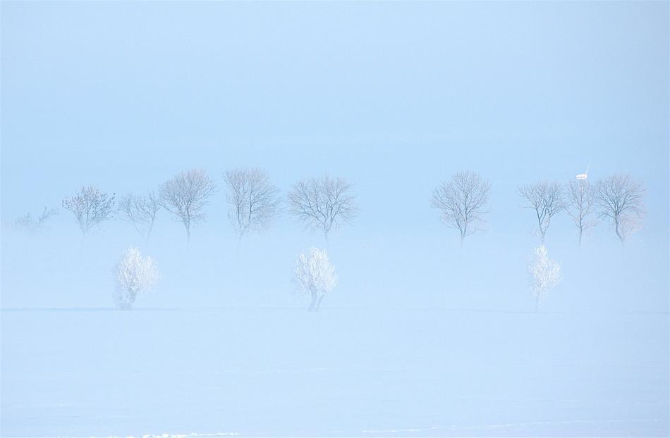 Winter Sweden Snow