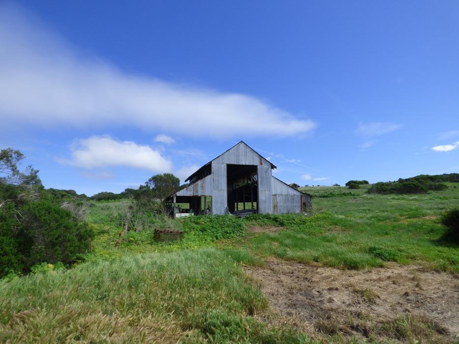 old barn in the field