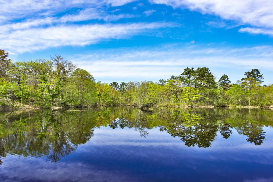 Japan Nature Outdoors