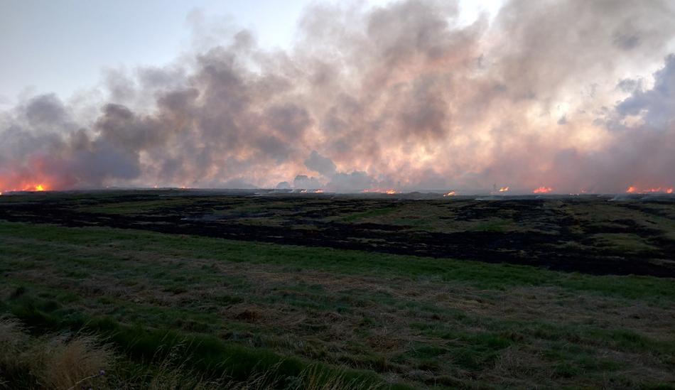 Fire Field Smoke