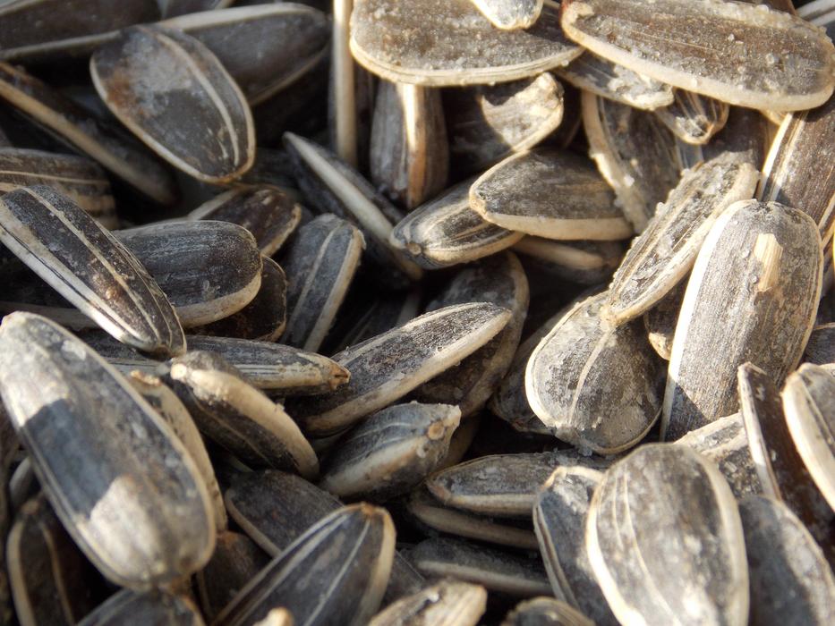 Black delicious sunflower seeds