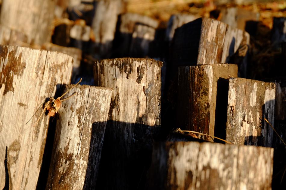 wooden posts for a fireplace