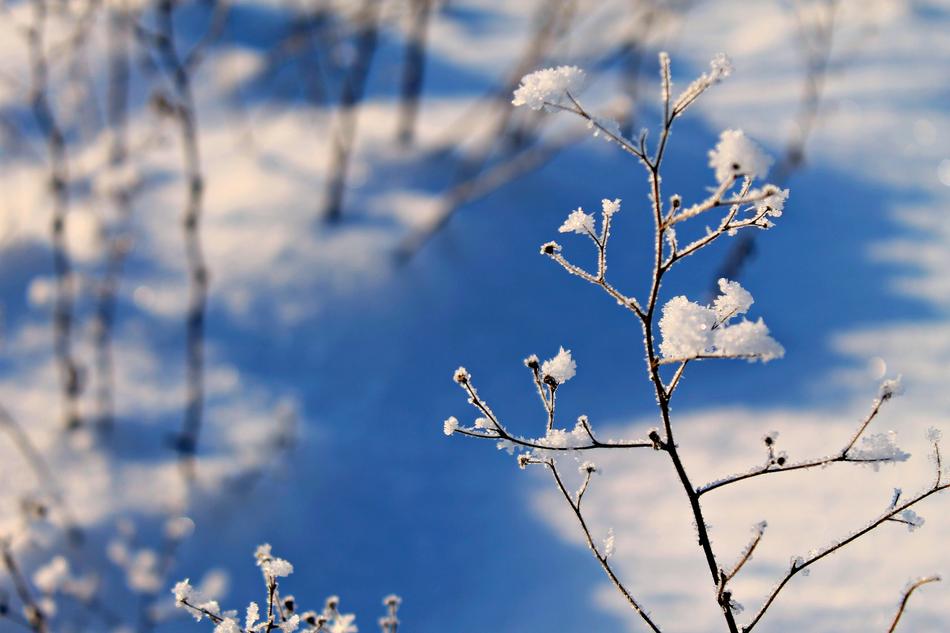 Winter Snow Landscape