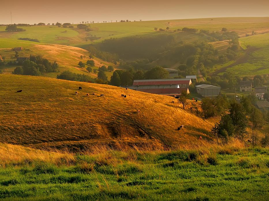 Moldava Landscape Summer