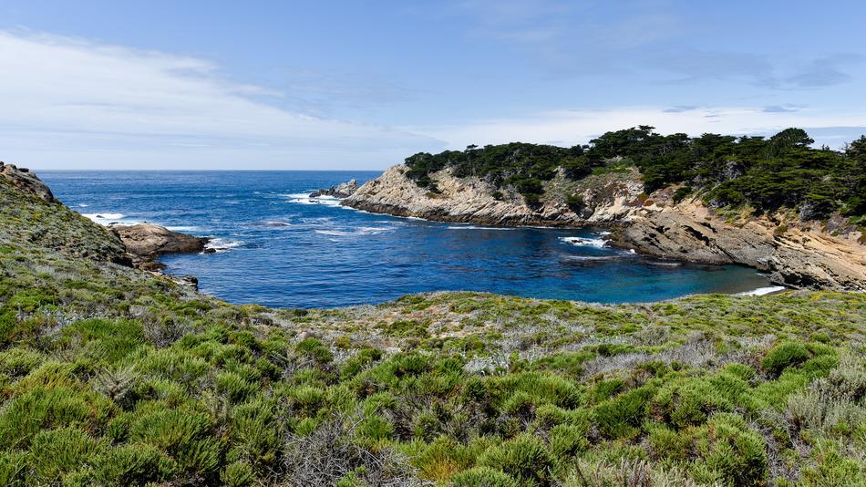 Pacific Coast Bay