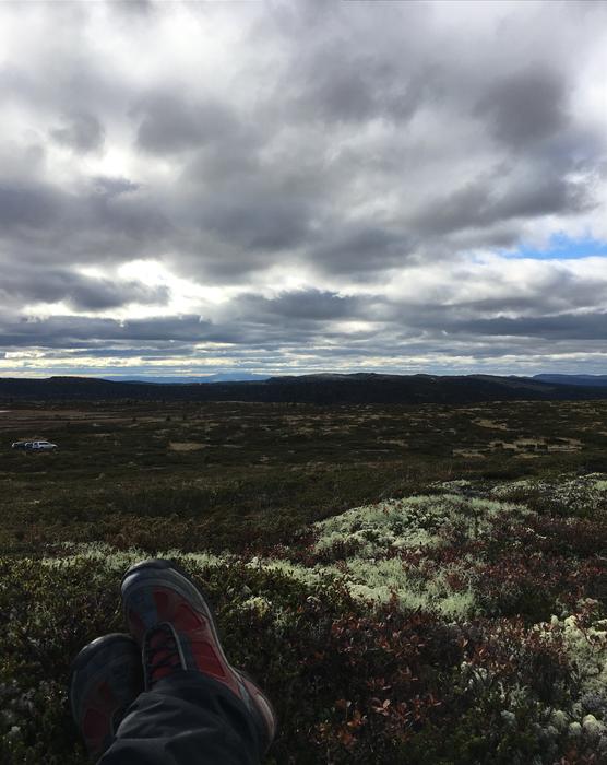 Mountain Norway The Nature Of