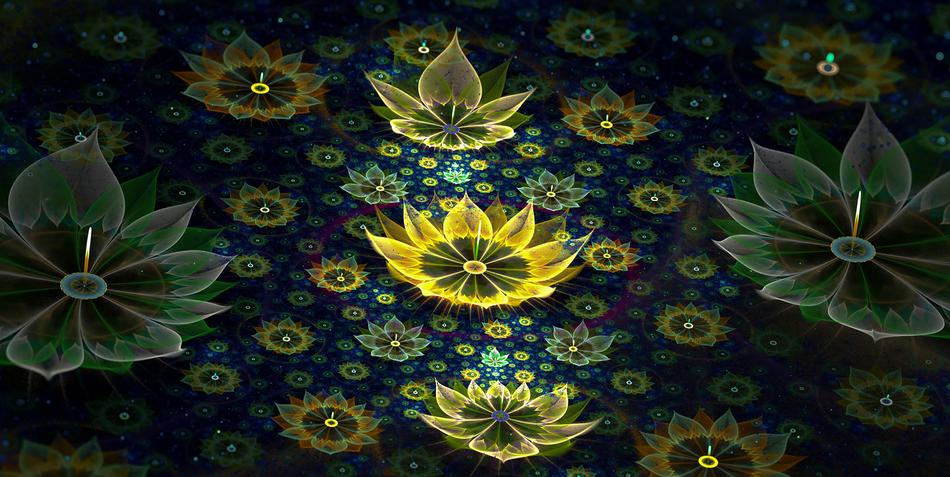 Luminous flowers in the pond