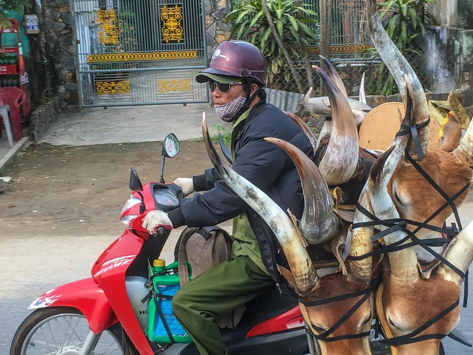 man on a bike with masks in the trunk