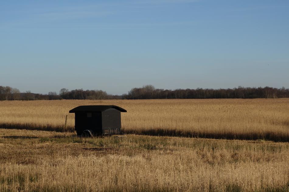 Landscape The Wieden