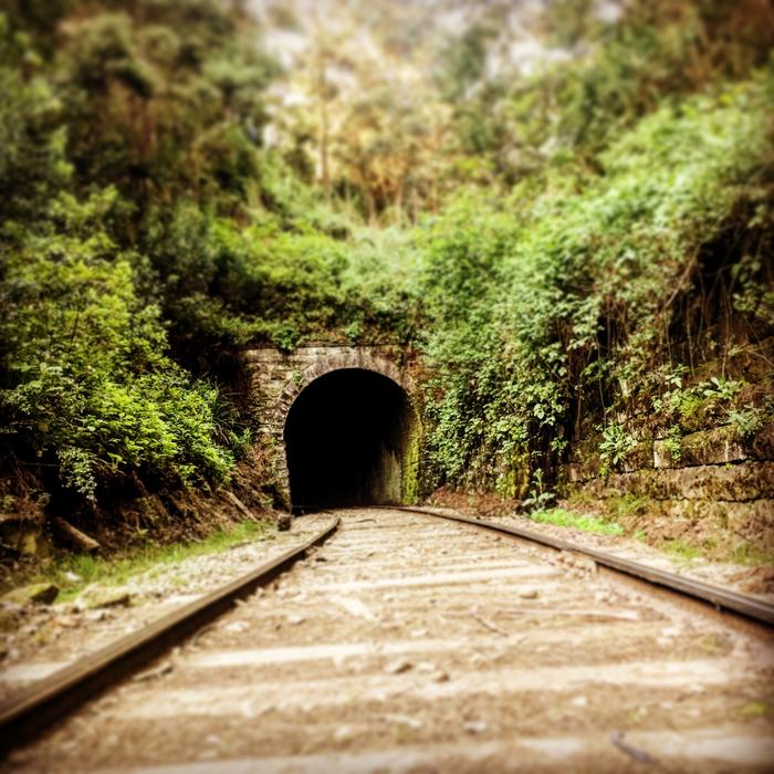 Online Train Tunnel