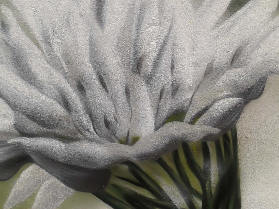 Blossom Bloom Flower