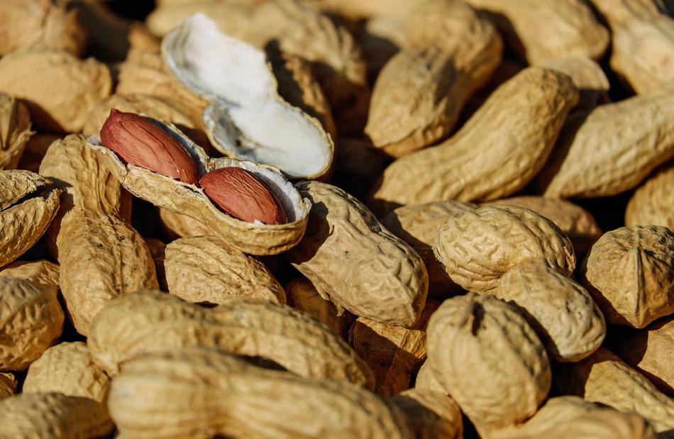 Peanut harvest in a box