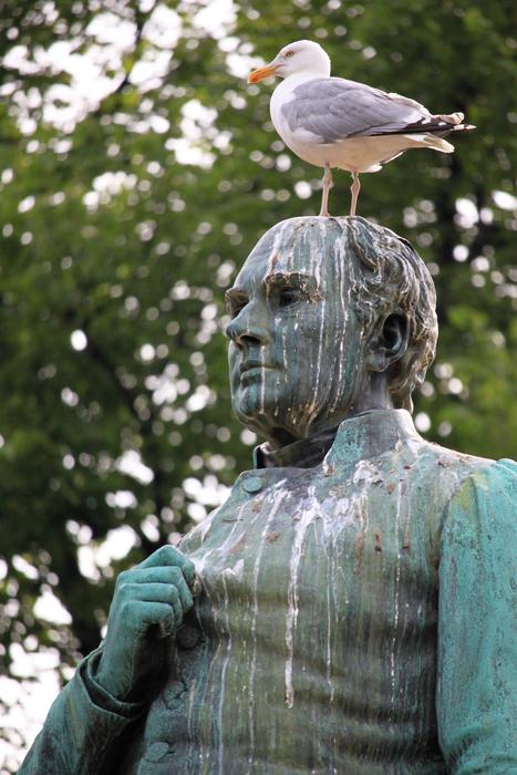 seagull on a statue in the park in a blurred background