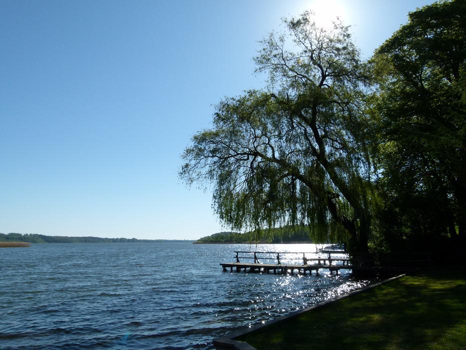 Lake Nature Mood