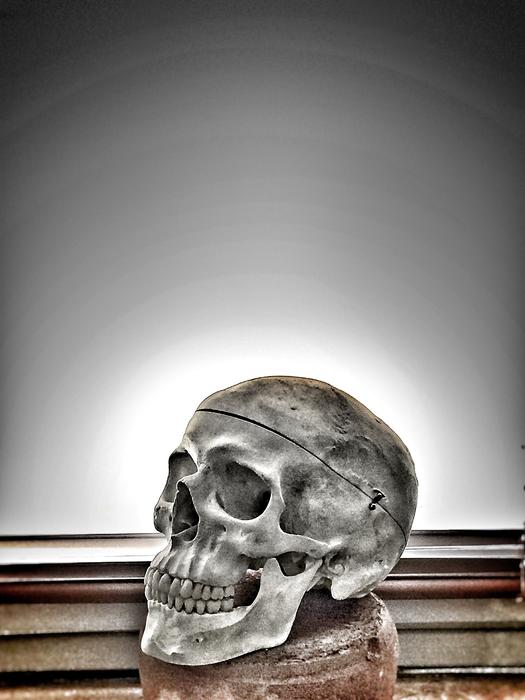 painted skull and stack of books