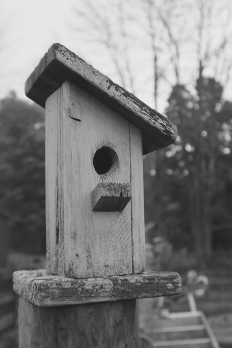 Birdhouse Outdoor Nature