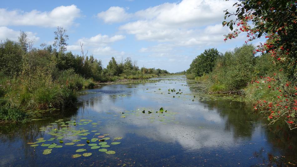 Water Nature Landscape Of