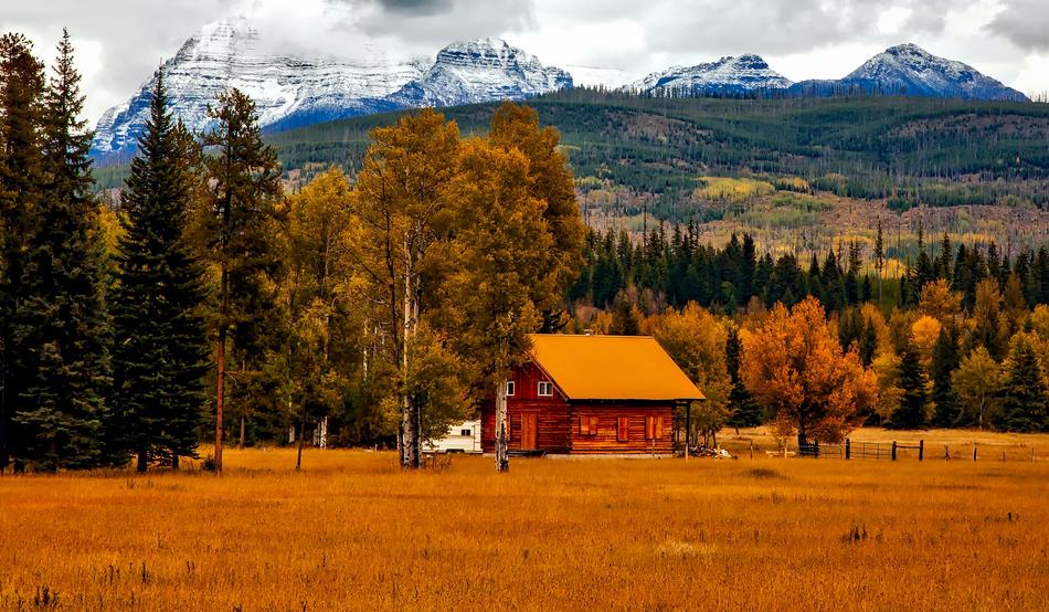 Autumn Fall Foliage