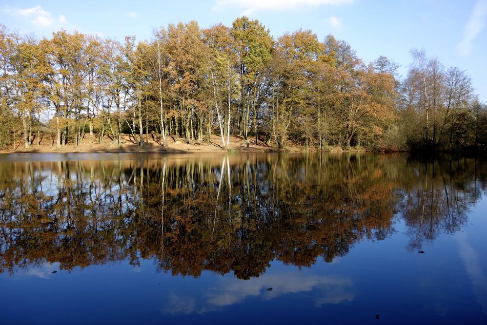 Pond Water Lake