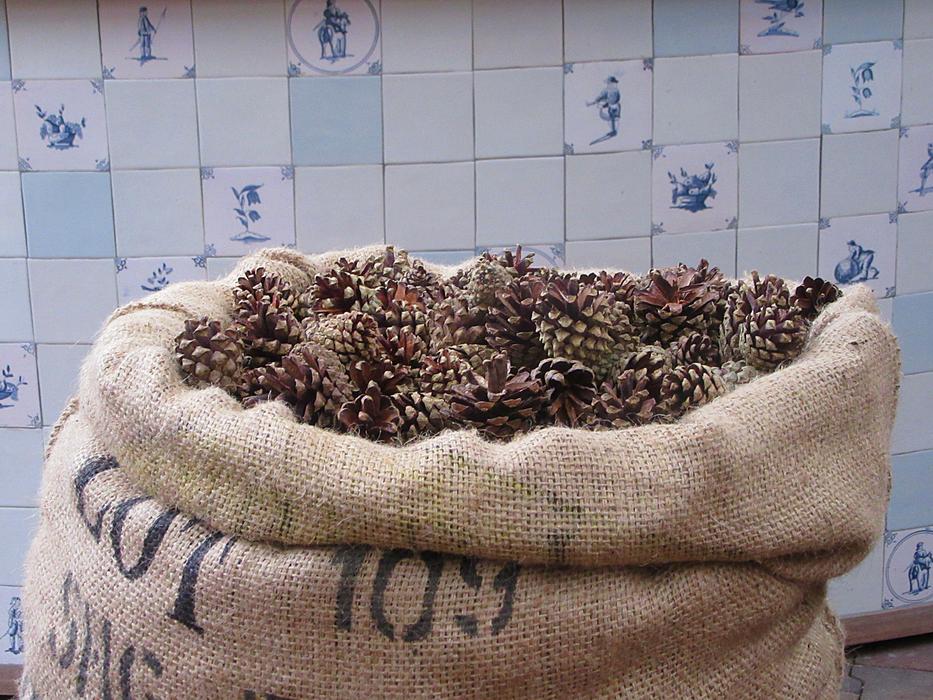 cones in a big bag