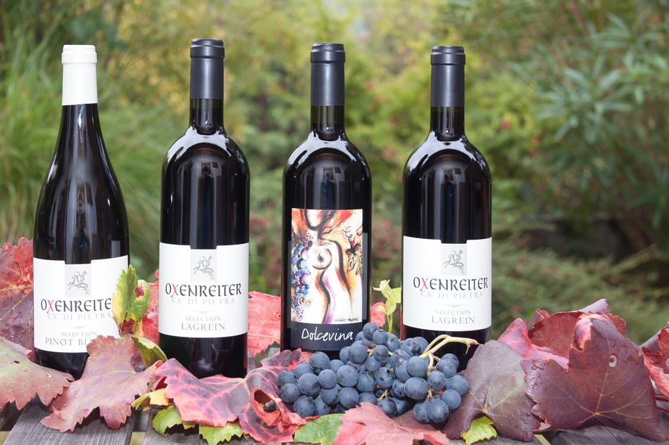 four Wine Bottles and grapes outdoor