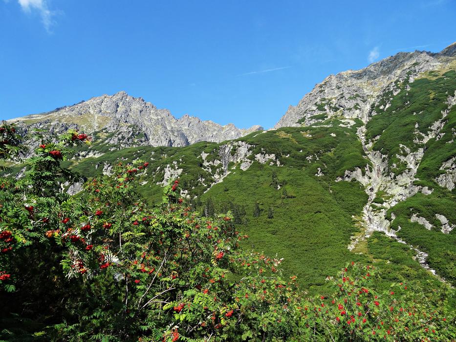 Landscape Mountains Nature