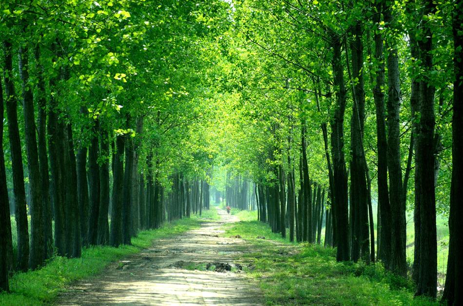 Farmland Agriculture Every Day