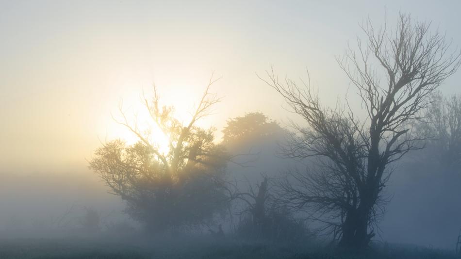 Morning Blue Gold