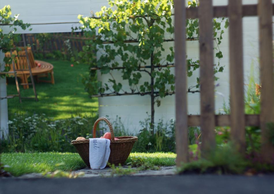 nice garden corner