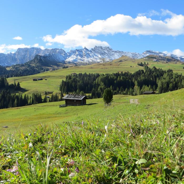 Seiser Alm South Tyrol