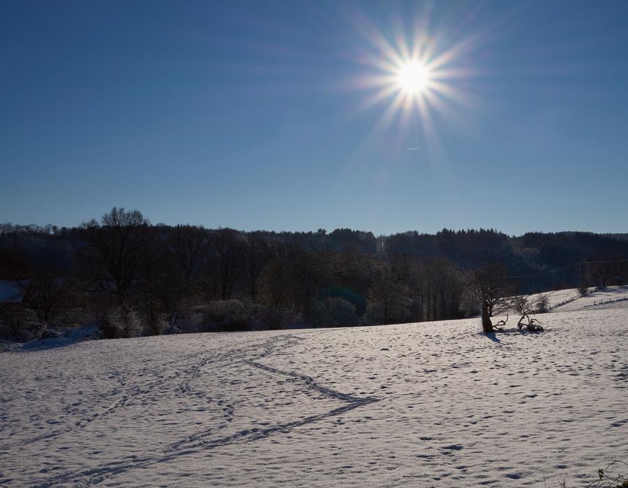 Snow Winter Sun