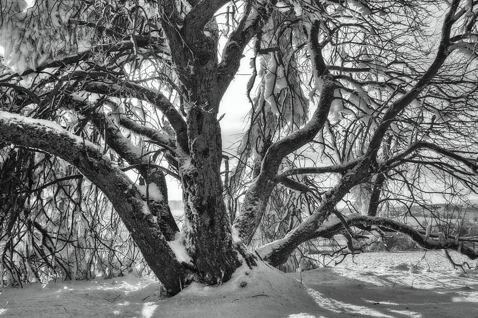 Sw Winter Snow