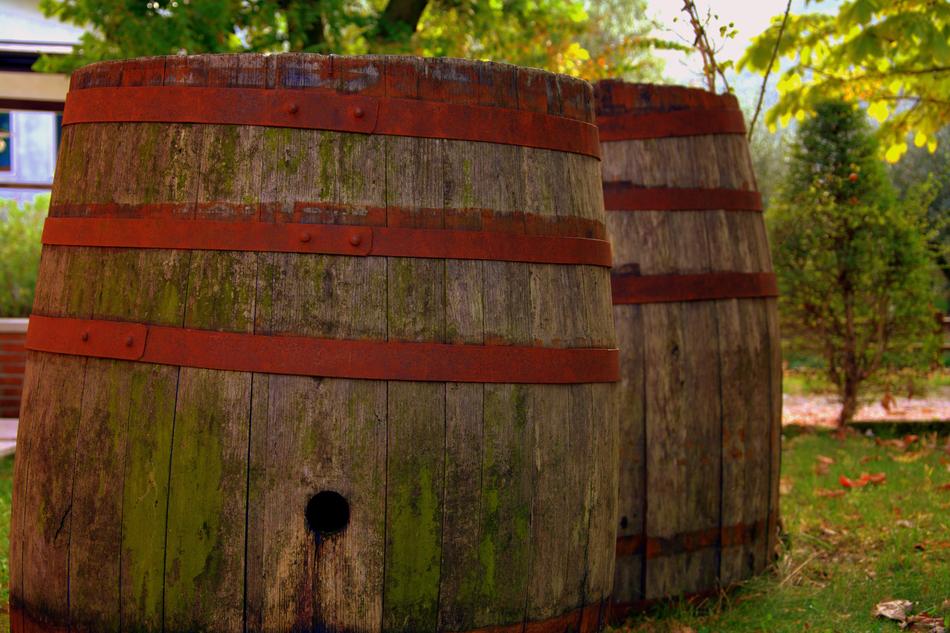 Botte Wine Tino